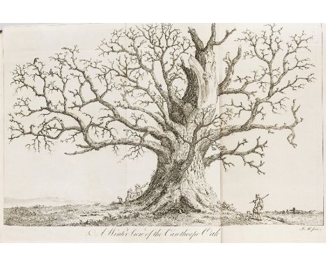 Trees &amp; Forestry.- Evelyn (John) Silva, edited by A.Hunter, 2 vol., fourth edition, engraved portrait and 45 plates, 2 fo