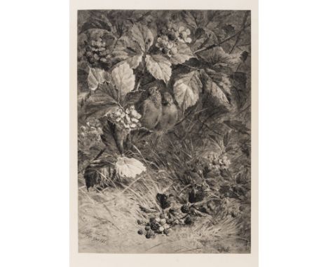 Birds.- Giacomelli (H.) [Birds and Flowers], without title, 20 plates, occasional marginal spotting, one plate becoming loose