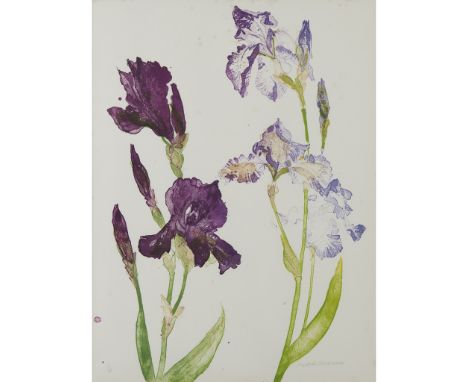 § DAME ELIZABETH BLACKADDER O.B.E., R.A., R.S.A., R.S.W., R.G.I., D.Litt (SCOTTISH 1931-2021) Lithograph, 35/60, signed and n