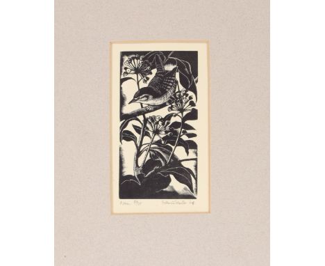 Francis Winter, pencil signed limited edition etching, of a wren seated on a branch, 50cm x 75cm