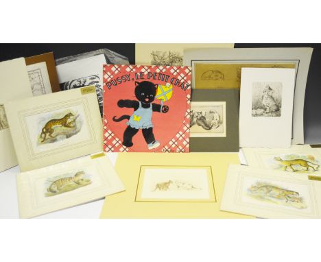 Feline Interest - various original drawings of cats; wood block prints; dry point etchings, etc