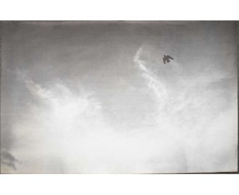 FELIX GONZALES-TORRES (1957-1996); lithograph, 'Untitled, 64, 1992-1993', unsigned, sheet size 85 x 112cm, unframed.