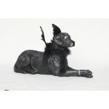 Diamond Dog by Alex Downing