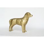 Golden Labrador by John Grose, Ipswich