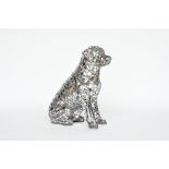 Disco Dog by Carolyn Ash