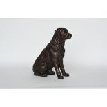 Chocolate Labrador by John Grose, Ipswich