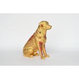 Digby - Digging for Gold by Jennifer Phillips