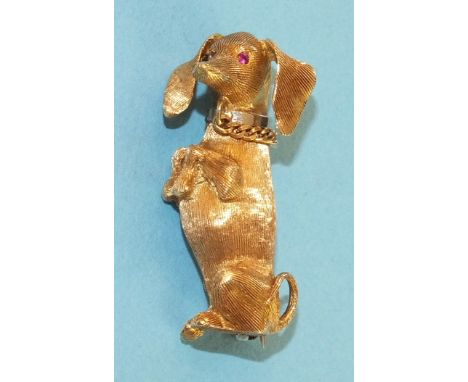 An 18ct yellow gold brooch in the form of a dachshund, begging, with ruby eyes, white gold collar with curb link chain and te