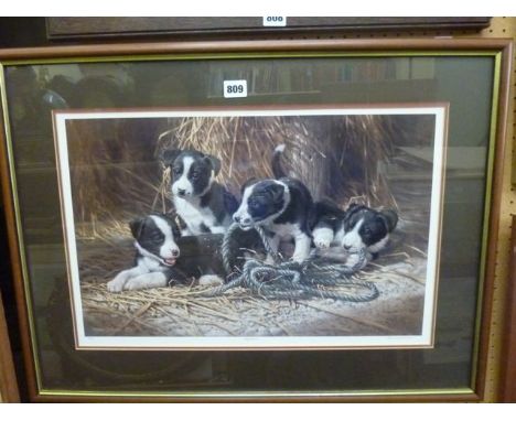 A signed coloured limited edition print after Michael Jackson showing a group of collie pups in a barn setting, signed bottom