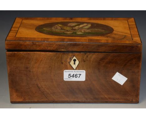 A George III mahogany crossbanded tea caddy, painted oval of seashells to lid