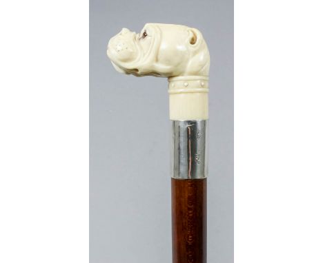 A late 19th/early 20th Century carved ivory and sterling silver mounted "bulldog" pattern walking stick, the handle carved wi