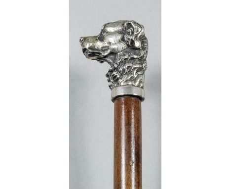 A late 19th/early 20th Century plated metal mounted "dog" pattern walking stick, the handle heavily cast with the head of a R