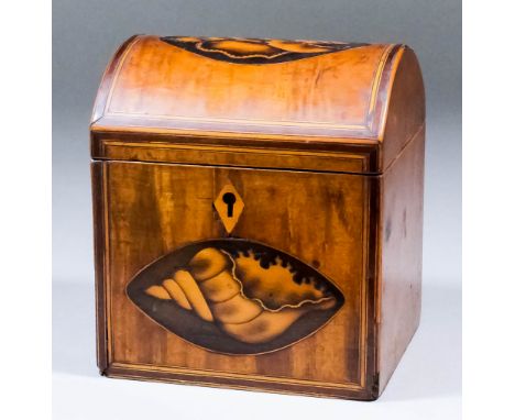 A George III dome-topped satinwood tea caddy, the lid and front inlaid with oval shell motif and crossbanded, 4.75ins x 4ins 