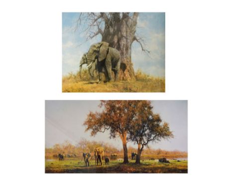 David Shepherd - Signed limited edition prints - 'Baobab &amp; Friends', No.224/950, 40.5cm x 60cm, and 'Luangwa Evening', No