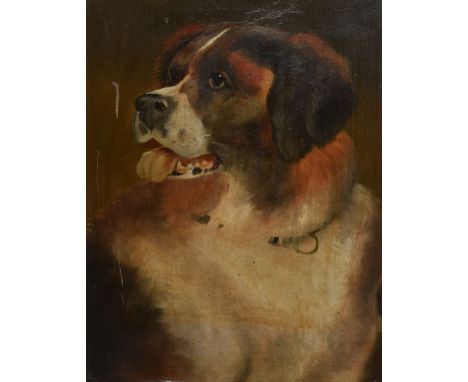 19th Century English School - Oil on canvas - Portrait of a St Bernard type dog, 29cm x 21cm, in a gilt gesso frame  