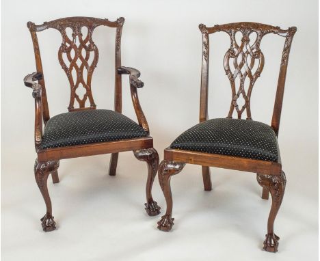 DINING CHAIRS, a set of ten, Chippendale style mahogany including two armchairs with black fabric drop in seats, armchair, 97