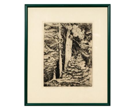 This original black and white etching on cream paper depicts an outstanding close-up of pine tree trunks and branches that Mo