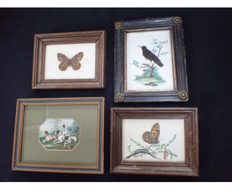 AN ORNITHOLOGICAL WATERCOLOUR, IN A REGENCY FRAME 14 x 17.5cm, two butterfly paintings, and a 'box top' print