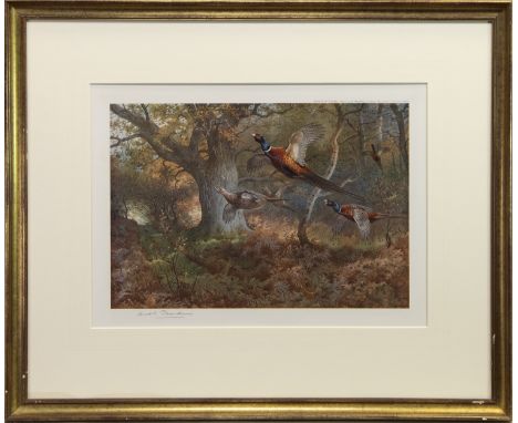 ARCHIBALD THORBURN (SCOTTISH 1860 - 1935), AUTUMN FLIGHT print on paper, signed in pencil and dated 1925 in the plate (not nu