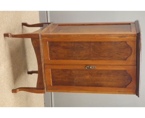 Early 20th century mahogany cabinet, two arched panelled doors enclosing adjustable shelf, W53cm, H107cm, D44cm