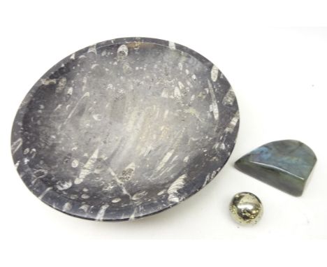 Carved bowl formed from a polished Orthoceras fossil specimen, preserved in limestone, D35cm, polished Labradorite and Pyrite