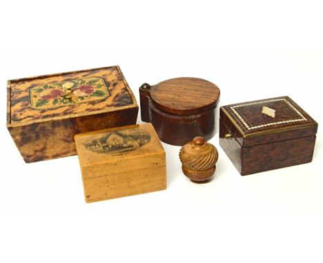 Treen spice shaker in the form of a coquille nut, Mauchline box "Alloway Kirk", Amboyna wood box inlaid with mother of pearl,