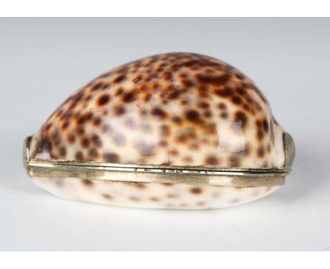 A 19th century cowrie shell and nickel mounted snuff box, length 7cm.