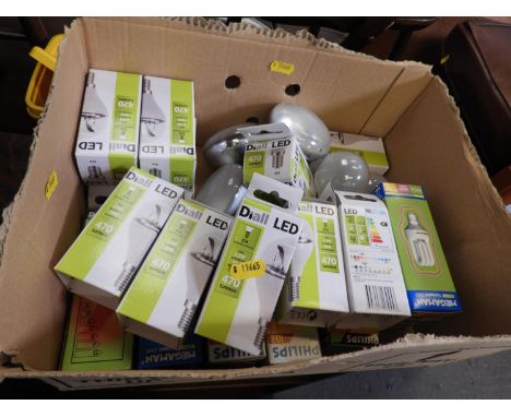 LED Light Bulbs 