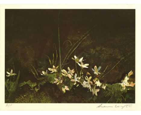 Artist: Andrew Wyeth (American, 1917-2009). Title: "May Day". Medium: Color offset lithograph. Date: Composed 1960. Printed 1