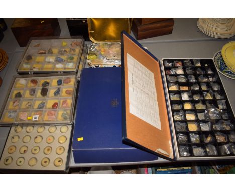A large collection of mineral, fossil and shell samples, including two boxed sets by Griffin & George.