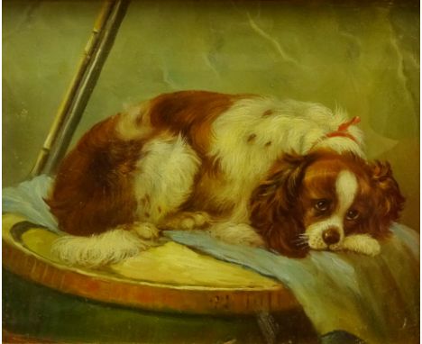 Portrait of a King Charles Spaniel, 20th century oil on canvas indistinctly signed 22.5cm x 28cm Condition Report Click here 