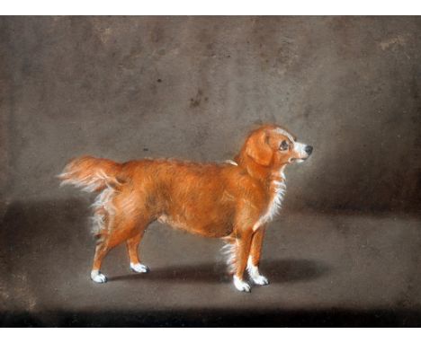 HENRY BARNARD CHALON (1770-1849) British
Portrait of a Retriever
Pastels
Old label to verso for Mr. Chalon, Horse & Dog Paint