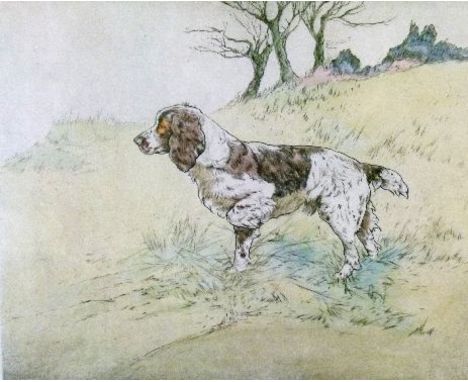 Henry Wilkinson - Pair of hand coloured etchings - Springer Spaniels, No's 199/250 and 32/250, each signed and numbered in pe