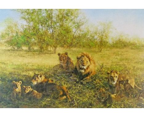 David Shepherd - Signed limited edition print - First Light At Savuti, no.903/1500, signed and numbered in pencil, unframed  