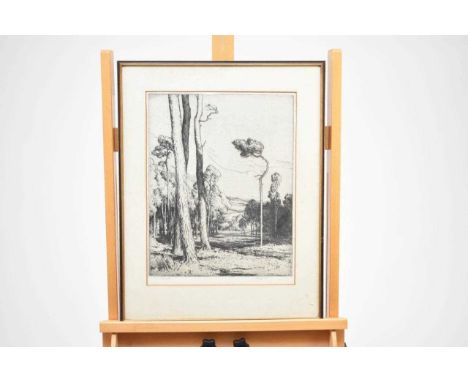 Walter James 3rd Baron Northbourne (1869-1932) Wooded Landscape, signed lower right, trial proof etching, 40.5 x 32 cm (PL), 