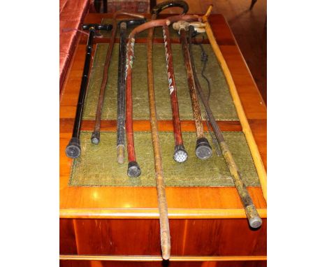 Selection of walking sticks,thumb sticks, shepherd crook and sword walking stick.
