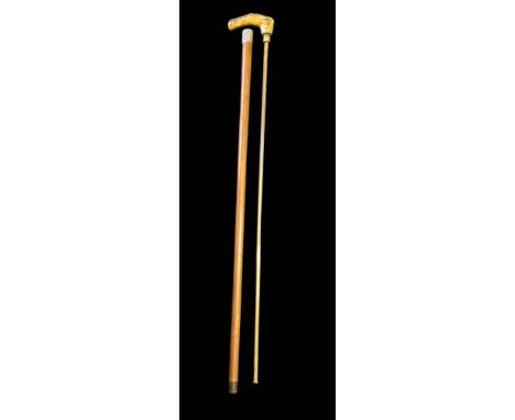 A  Victorian / Edwardian Gentleman's walking cane / horse measuring stick. Having a horn handle with internal horse measuring