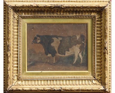 John Vine of Colchester (1808 - 1867), watercolour - study of a calf, inscribed verso - 'A Portrait of a Calf about 15 months