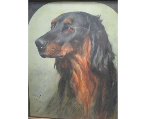 A Gordon Setter, print, 34 x 28cm