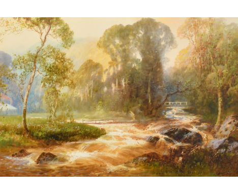 John Shapland (1865-1929), a view of a boulder-strewn tree-lined torrent, watercolour, signed, 10.5" x 16.75" (27 x 42cm).