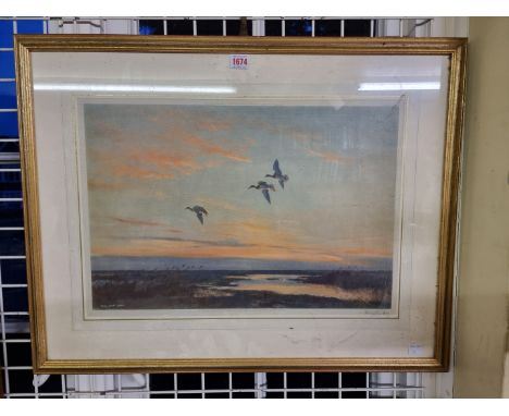 Peter Scott,&nbsp;ducks in flight, signed in pencil, colour print, I.35.5 x 53cm.&nbsp; 