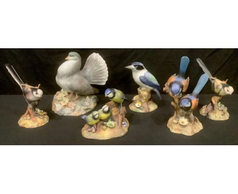 A Royal Crown Derby painted model of a Fantail Pigeon; others, Blue Tit and Chicks, Fairy Wrens, Long Tailed Tit, Kingfisher,