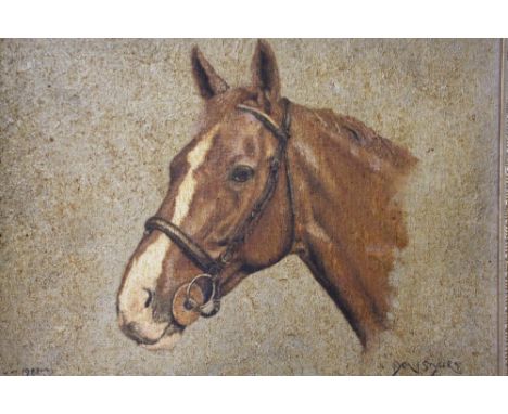 DON STYLER (1900 - 2000). A head and neck horse portrait. Signed lower right and dated 1982 lower left, oil on canvas board, 