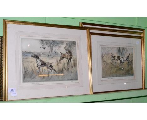 Four framed coloured etchings, sporting dog subjects, after Henry Wilkinson 