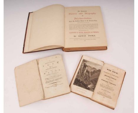 T D FOSBROKE: THE WYE TOUR, OR GILPIN ON THE WYE ..., Ross 1834, 4th edition, engraved frontis, original boards worn, printed
