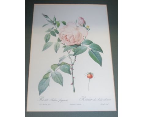 A set of six gilt framed Redoute prints; together with five other framed botanical prints (11)