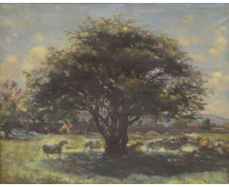 Irish School (early 20th century) - Sheep resting under the shade of a large tree with a sunlit cottage and bridge nearby, si