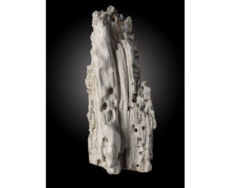 A fossil wood specimenprobably Western U.S.A.45cm.; 17½insProvenance: Emmen Zoo Collection.  See footnote to lot 1 for more i