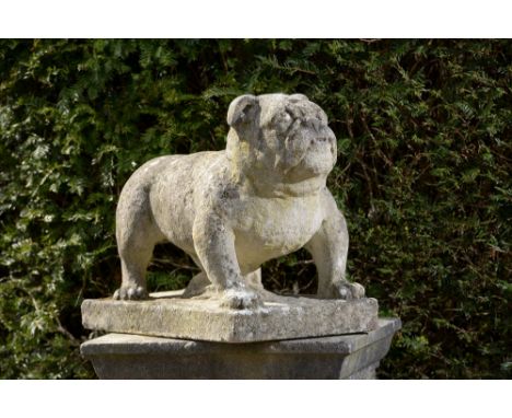 Garden Statues: A rare Portland stone bulldogcirca 190045cm.; 17½ins high by 56cm.; 22ins longThe oldest single breed special