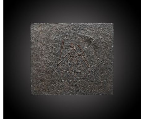 Fossil cast: A Palaeochiropteryx museum cast of a bat fossilMessel Pits, Germany, Middle Eocene12cm.; 5ins by 10cm.; 4ins (Se